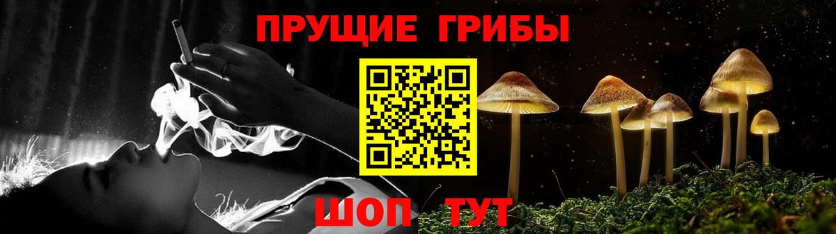 Качканар  где найти наркотики  Вход с VPN  Псилоцибиновые грибы Psilocybe 